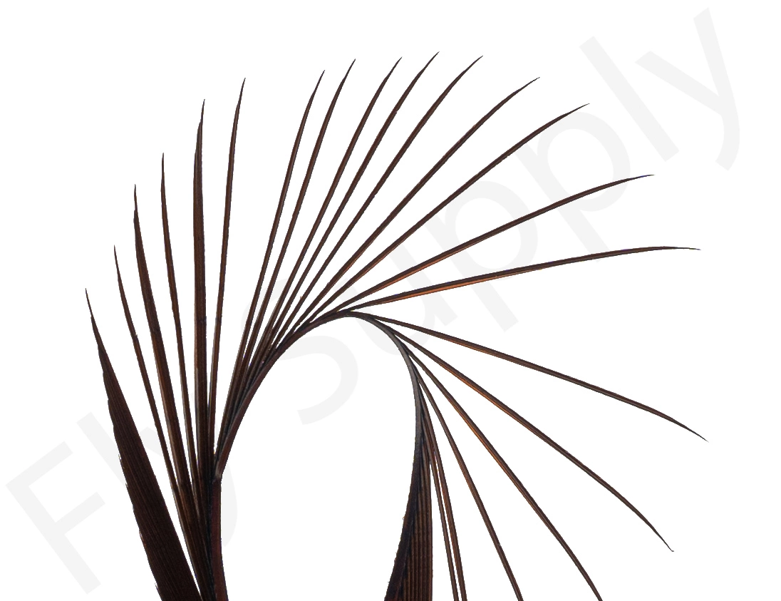 Premium Turkey Biots 4 Premium Turkey Biots - Afbeelding 2