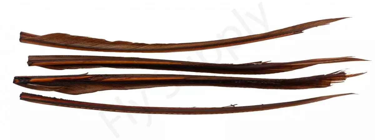 Premium Turkey Biots 10 Premium Turkey Biots - Afbeelding 8