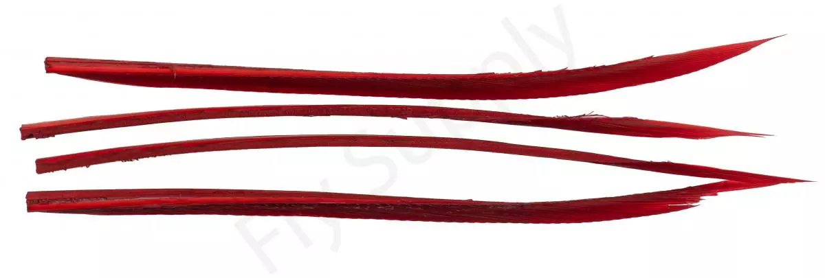 Premium Turkey Biots 9 Premium Turkey Biots - Afbeelding 7