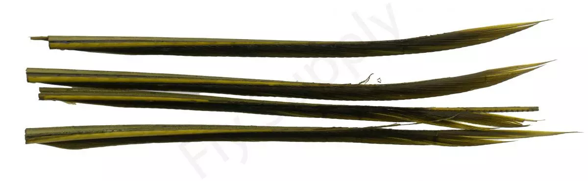 Premium Turkey Biots 11 Premium Turkey Biots - Afbeelding 9