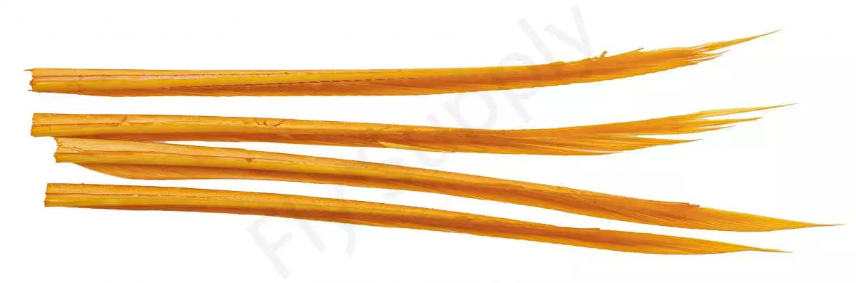 Premium Turkey Biots 15 Premium Turkey Biots - Afbeelding 13