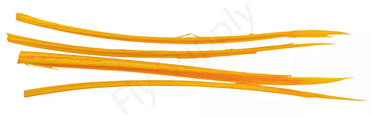 Premium Turkey Biots 16 Premium Turkey Biots - Afbeelding 14