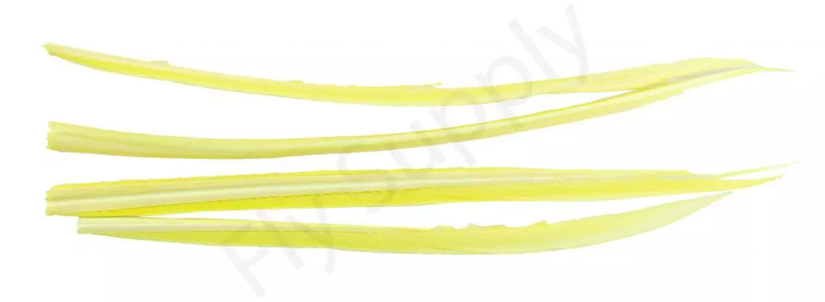 Premium Turkey Biots 19 Premium Turkey Biots - Afbeelding 17