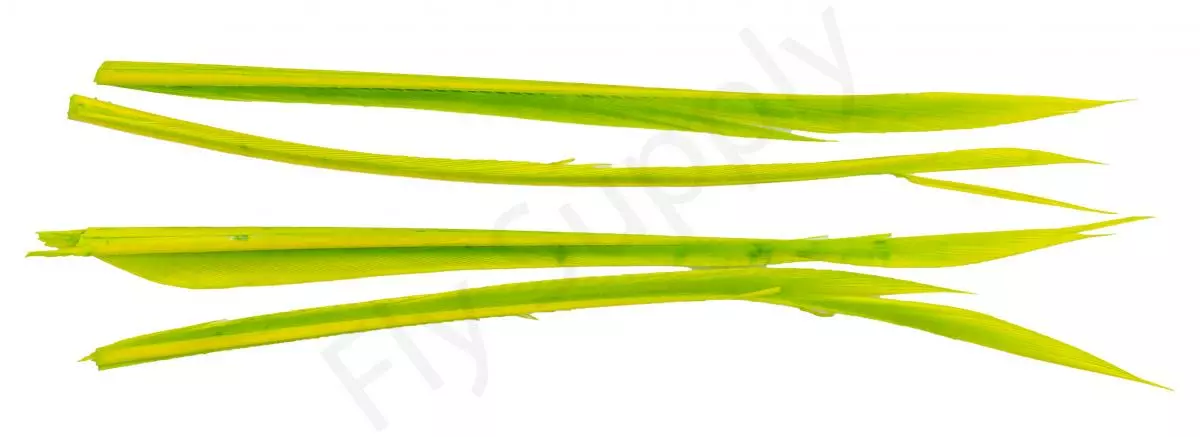 Premium Turkey Biots 20 Premium Turkey Biots - Afbeelding 18