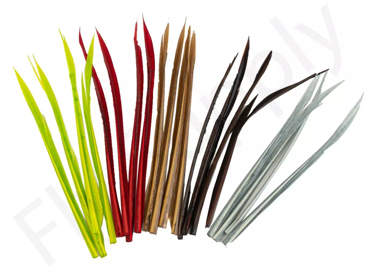 Premium Turkey Biots 3 Premium Turkey Biots