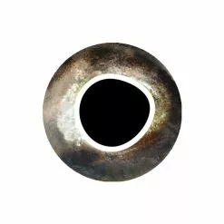 Pro Sportfisher Cooleyes 17 Pro Sportfisher Cooleyes -Rod Tubes Verkoopwinkel Pro Sportfisher Pro Cooleyes PROCOOLEYES XXX cooleye brown 6mm 1 3