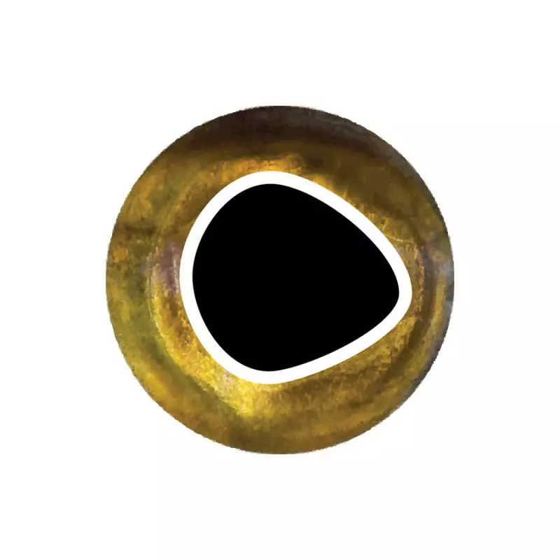 Pro Sportfisher Cooleyes 4 Pro Sportfisher Cooleyes - Afbeelding 2