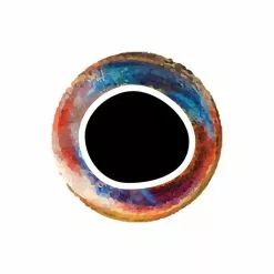 Pro Sportfisher Cooleyes 16 Pro Sportfisher Cooleyes -Rod Tubes Verkoopwinkel Pro Sportfisher Pro Cooleyes PROCOOLEYES XXX cooleye rainbow 6mm 1 3