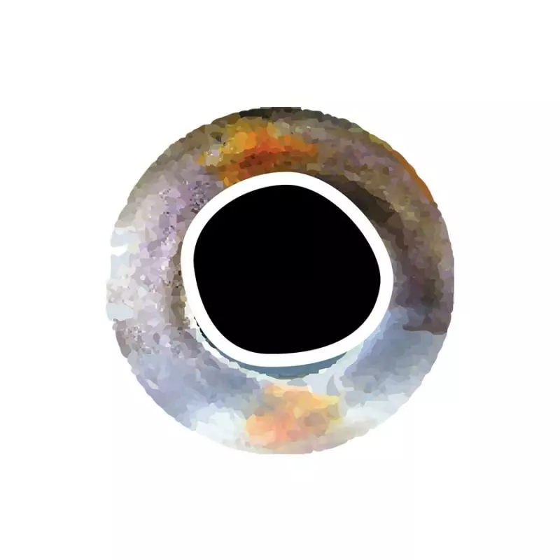 Pro Sportfisher Cooleyes 5 Pro Sportfisher Cooleyes - Afbeelding 3