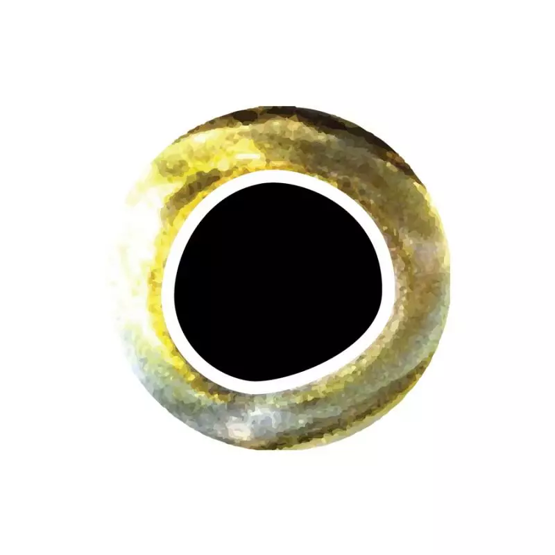 Pro Sportfisher Cooleyes 6 Pro Sportfisher Cooleyes - Afbeelding 4