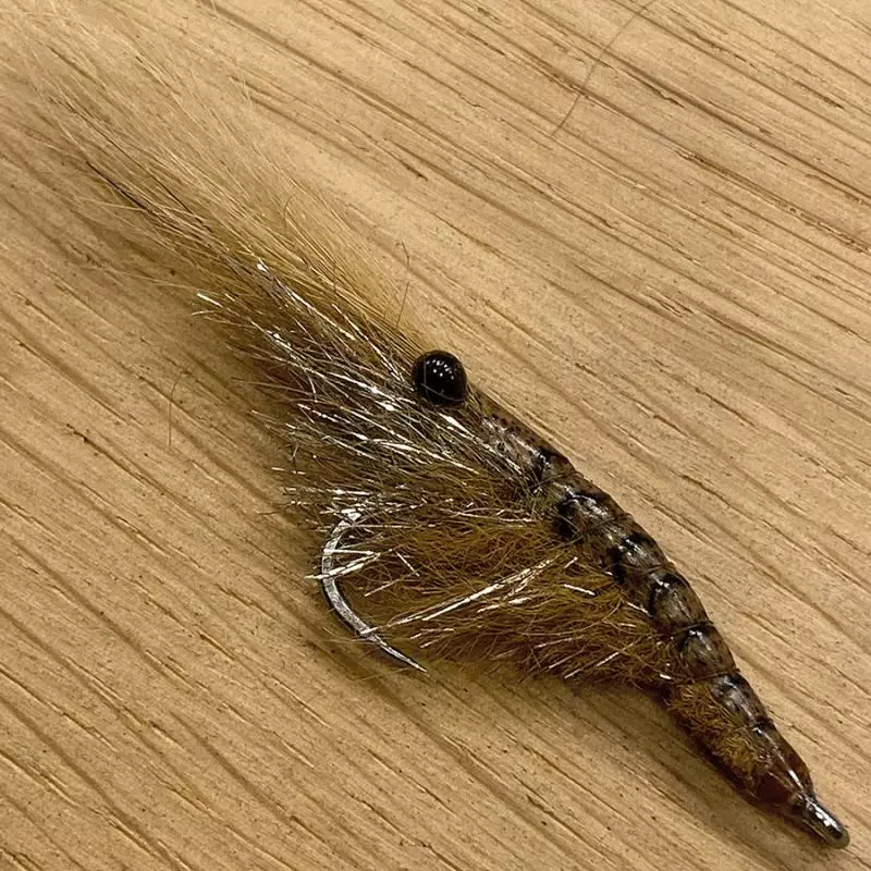 Pro Sportfisher Shrimp Shell WOE 5 Pro Sportfisher Shrimp Shell WOE - Afbeelding 3