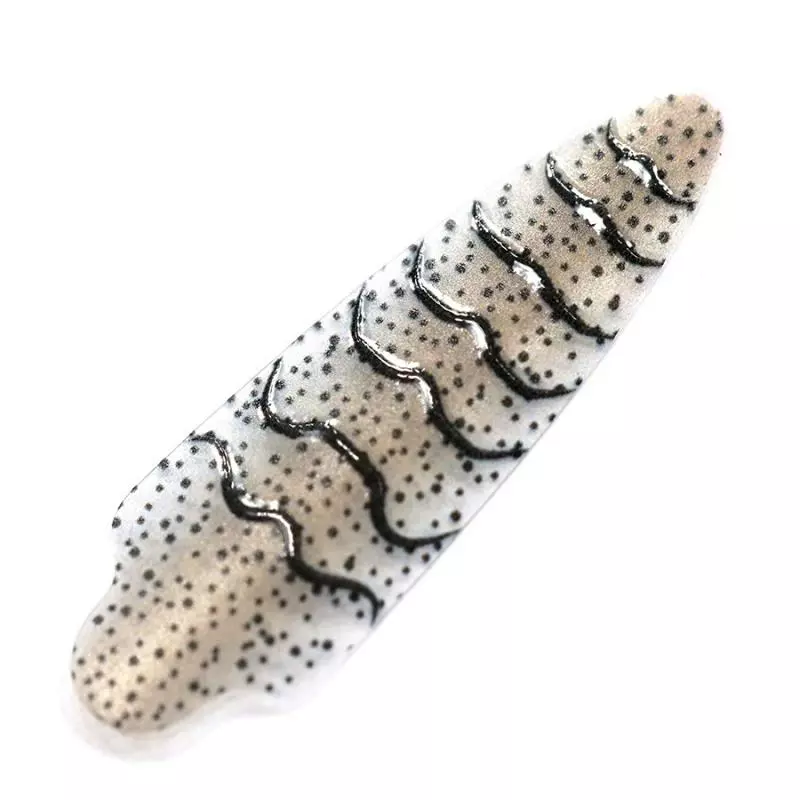 Pro Sportfisher Shrimp Shell WOE 4 Pro Sportfisher Shrimp Shell WOE - Afbeelding 2