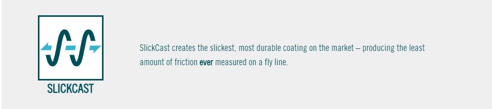 RIO Premier StreamerTip WF Fly Line 6 RIO Premier StreamerTip WF Fly Line - Afbeelding 4