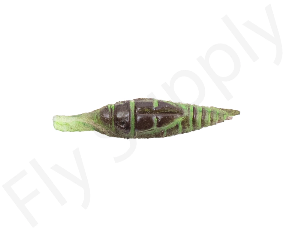 Realistic Nymph Backs 10pc 22 Realistic Nymph Backs 10pc - Afbeelding 20