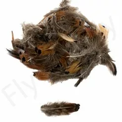 Ringneck Pheasant Body Feathers 3gr -Rod Tubes Verkoopwinkel Ringneck Pheasant Body Feathers 3gr RINGNECKBODY XXX dsc02527 bewerkt bewerkt
