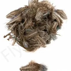 Ringneck Pheasant Body Feathers 3gr -Rod Tubes Verkoopwinkel Ringneck Pheasant Body Feathers 3gr RINGNECKBODY XXX dsc02528 bewerkt