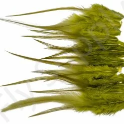 Small Streamer Saddle Feathers 18pc -Rod Tubes Verkoopwinkel Small Streamer Saddle Feathers 18pc SSSADSM X dsc01581 bewerkt wm