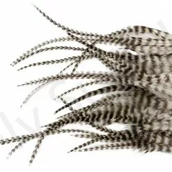 Small Streamer Saddle Feathers 18pc -Rod Tubes Verkoopwinkel Small Streamer Saddle Feathers 18pc SSSADSM X dsc01620 bewerkt wm