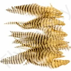 Small Streamer Saddle Feathers 18pc -Rod Tubes Verkoopwinkel Small Streamer Saddle Feathers 18pc SSSADSM X dsc01629 bewerkt wm