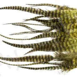 Small Streamer Saddle Feathers 18pc -Rod Tubes Verkoopwinkel Small Streamer Saddle Feathers 18pc SSSADSM X dsc01635 bewerkt wm