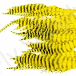 Small Streamer Saddle Feathers 18pc -Rod Tubes Verkoopwinkel Small Streamer Saddle Feathers 18pc SSSADSM X dsc01640 bewerkt wm