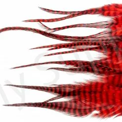 Small Streamer Saddle Feathers 18pc -Rod Tubes Verkoopwinkel Small Streamer Saddle Feathers 18pc SSSADSM X dsc01644 bewerkt wm