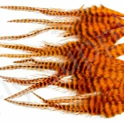 Small Streamer Saddle Feathers 18pc -Rod Tubes Verkoopwinkel Small Streamer Saddle Feathers 18pc SSSADSM X dsc01647 bewerkt wm