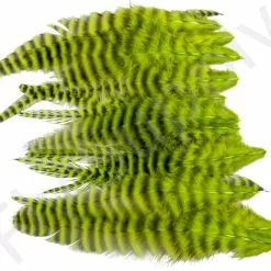 Small Streamer Saddle Feathers 18pc -Rod Tubes Verkoopwinkel Small Streamer Saddle Feathers 18pc SSSADSM X dsc01650 bewerkt wm