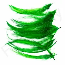 Small Streamer Saddle Feathers 18pc -Rod Tubes Verkoopwinkel Small Streamer Saddle Feathers 18pc SSSADSM X dsc08751