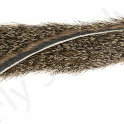 Squirrel Zonkerstrips 2mm Natural -Rod Tubes Verkoopwinkel Squirrel Zonkerstrips 2mm Natural 50 72XXX dsc04538 bewerkt