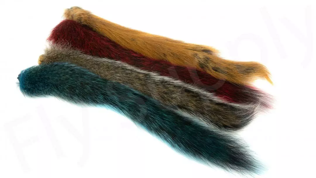 Squirrel Tails 4 Squirrel Tails - Afbeelding 2