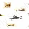 Stone Fly Set Premium 10pc -Rod Tubes Verkoopwinkel Stone Fly Set Premium 10pc EF STONEFLY10SET stone fly set premium 10pc