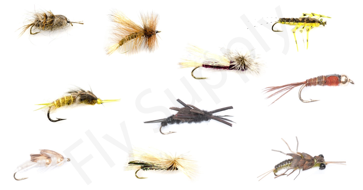 Stone Fly Set Premium 10pc 3 Stone Fly Set Premium 10pc