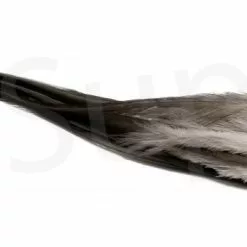 Streamer Saddle Feathers Large 18pc -Rod Tubes Verkoopwinkel Streamer Saddle Feathers Large 18pc STR SAD X dsc01505 bewerkt wm