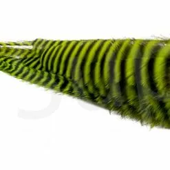 Streamer Saddle Feathers Large 18pc -Rod Tubes Verkoopwinkel Streamer Saddle Feathers Large 18pc STR SAD X dsc01515 bewerkt wm