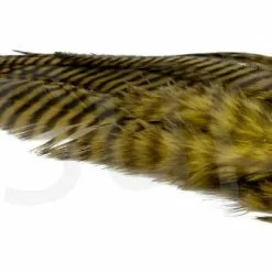 Streamer Saddle Feathers Large 18pc -Rod Tubes Verkoopwinkel Streamer Saddle Feathers Large 18pc STR SAD X dsc01517 bewerkt wm