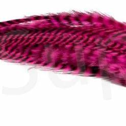 Streamer Saddle Feathers Large 18pc -Rod Tubes Verkoopwinkel Streamer Saddle Feathers Large 18pc STR SAD X dsc01519 bewerkt wm