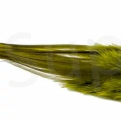 Streamer Saddle Feathers Large 18pc -Rod Tubes Verkoopwinkel Streamer Saddle Feathers Large 18pc STR SAD X dsc01523 bewerkt wm