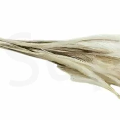 Streamer Saddle Feathers Large 18pc -Rod Tubes Verkoopwinkel Streamer Saddle Feathers Large 18pc STR SAD X dsc01525 bewerkt wm