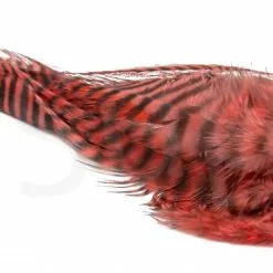 Streamer Saddle Feathers Large 18pc -Rod Tubes Verkoopwinkel Streamer Saddle Feathers Large 18pc STR SAD X dsc01526 bewerkt wm