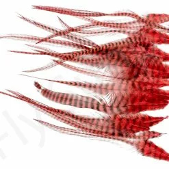 Streamer Saddle Feathers Large 18pc -Rod Tubes Verkoopwinkel Streamer Saddle Feathers Large 18pc STR SAD X dsc01531 bewerkt wm