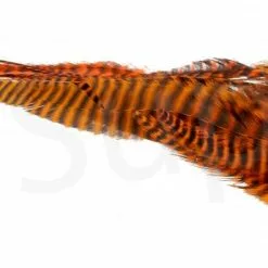 Streamer Saddle Feathers Large 18pc -Rod Tubes Verkoopwinkel Streamer Saddle Feathers Large 18pc STR SAD X dsc01535 bewerkt wm