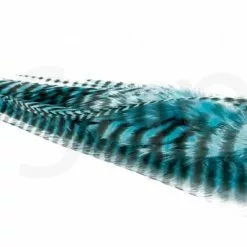 Streamer Saddle Feathers Large 18pc -Rod Tubes Verkoopwinkel Streamer Saddle Feathers Large 18pc STR SAD X dsc01539 bewerkt wm