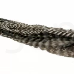 Streamer Saddle Feathers Large 18pc -Rod Tubes Verkoopwinkel Streamer Saddle Feathers Large 18pc STR SAD X dsc01545 bewerkt wm