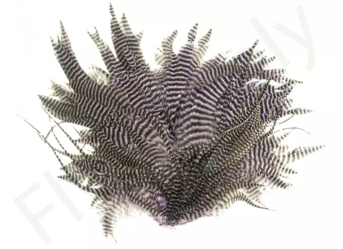 Streamer Saddle Patch Big 5 Streamer Saddle Patch Big - Afbeelding 3