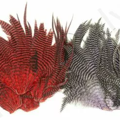 Streamer Saddle Patch Big