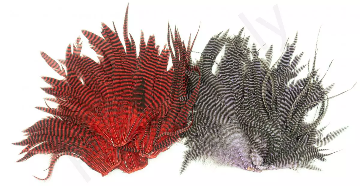 Streamer Saddle Patch Big 3 Streamer Saddle Patch Big