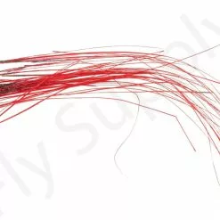 Stripped Quills 25pc -Rod Tubes Verkoopwinkel Stripped Quills 25pc STRIPQLLS XXX dsc03291 bewerkt 1