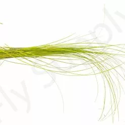 Stripped Quills 25pc -Rod Tubes Verkoopwinkel Stripped Quills 25pc STRIPQLLS XXX dsc03294 bewerkt 1