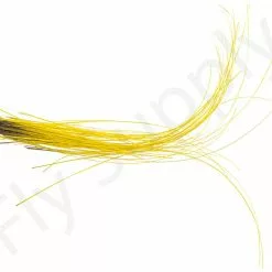 Stripped Quills 25pc -Rod Tubes Verkoopwinkel Stripped Quills 25pc STRIPQLLS XXX dsc03295 bewerkt 1